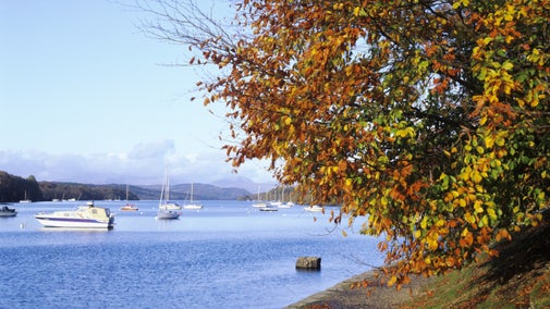 View of a calm lake with boats on it and an autumn tree to the right